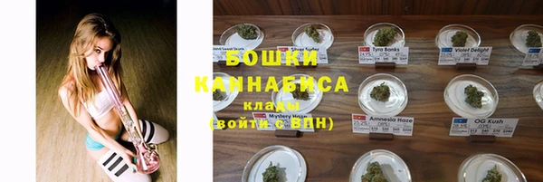 спайс Арсеньев