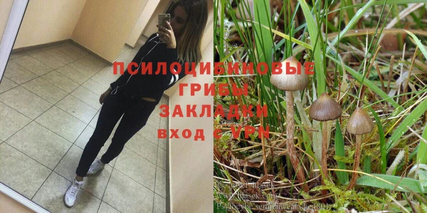 спайс Арсеньев