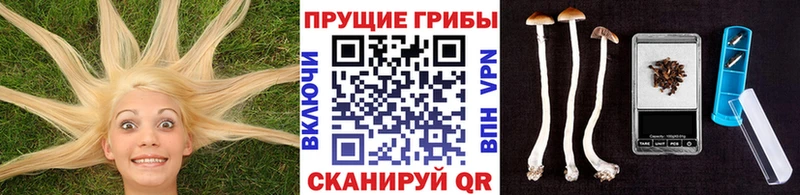 Галлюциногенные грибы Magic Shrooms  закладка  Кадников 